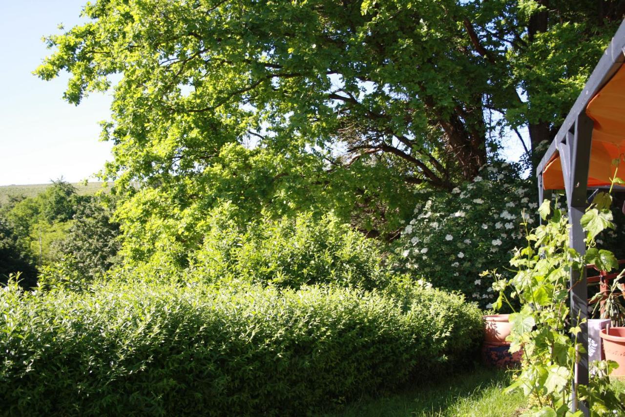 2 Zimmer Fewo Mit Aussenpool Und Sauna Sulzfeld am Main Zewnętrze zdjęcie