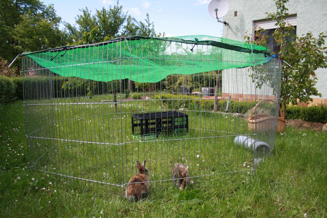 2 Zimmer Fewo Mit Aussenpool Und Sauna Sulzfeld am Main Zewnętrze zdjęcie